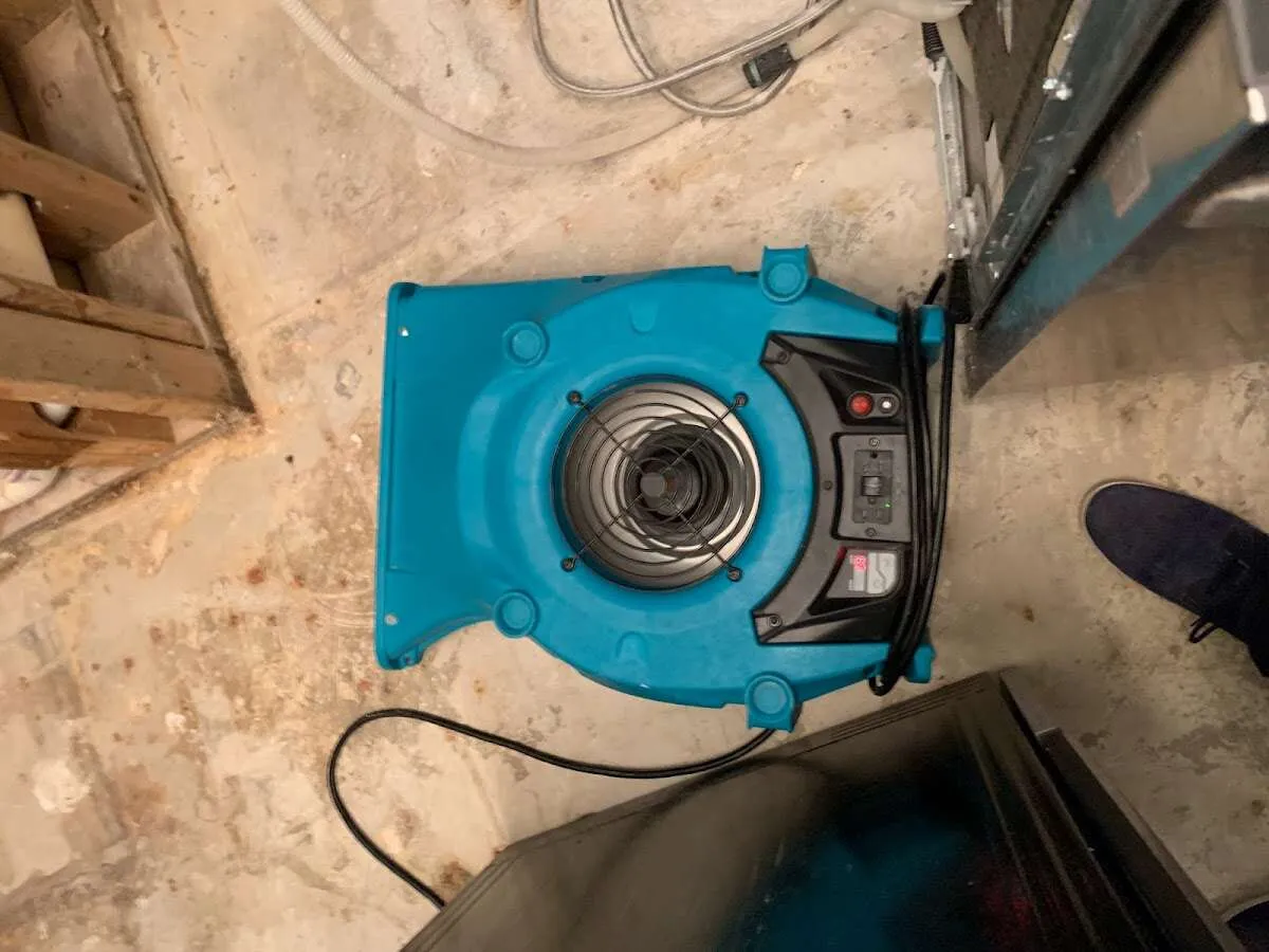 Air mover drying equipment for Mold Remediation & Removal in Edinburg